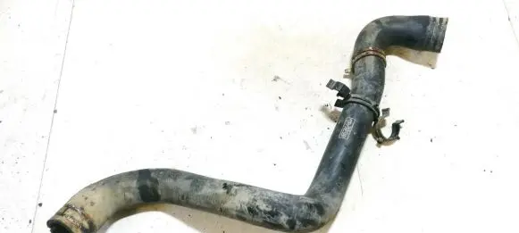 Ford Focus Engine coolant pipe/hose