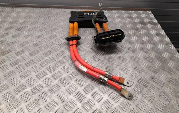 Tesla Model S Other wiring loom 100487500F