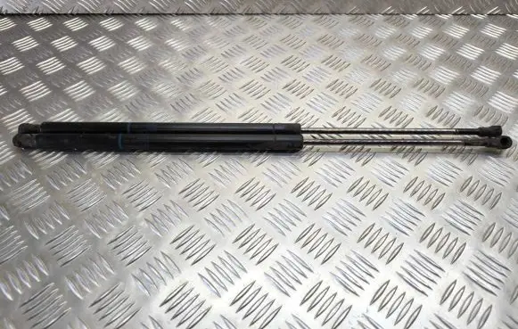 Peugeot 206 CC Tailgate/trunk strut/damper 9642209980