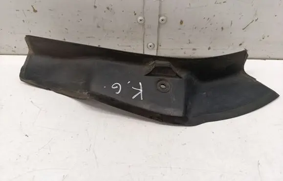 Rear/tail light trim molding