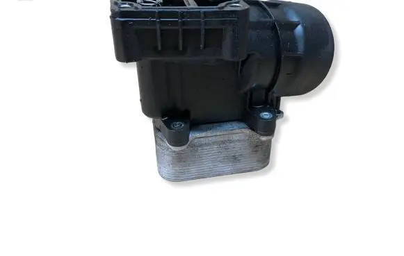 Volkswagen Polo V 6R Engine oil radiator 