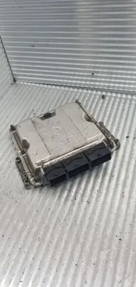 Renault Espace III Engine control unit/module 0281011325 8200309318