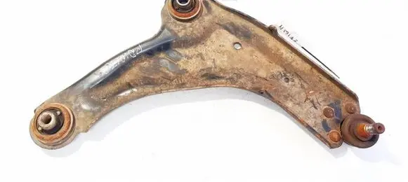 Front lower control arm/wishbone