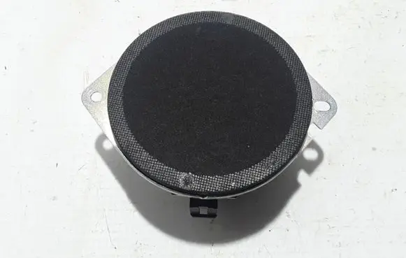 Chrysler Pacifica Front door high frequency speaker