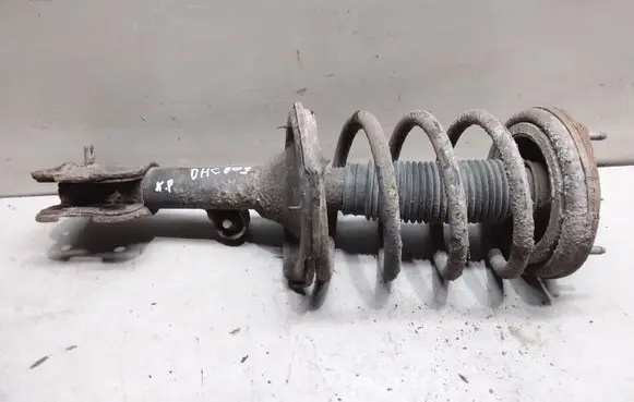Hyundai Santa Fe Front shock absorber with coil spring