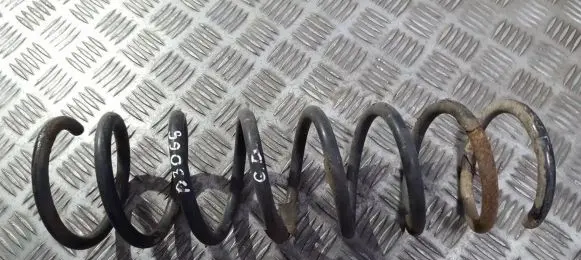 Rear coil spring