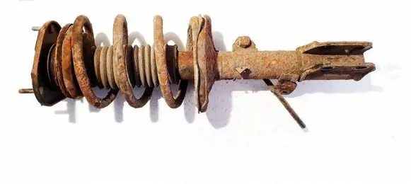 Toyota Corolla Verso AR10 Front shock absorber/damper 