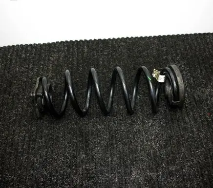 Rear coil spring