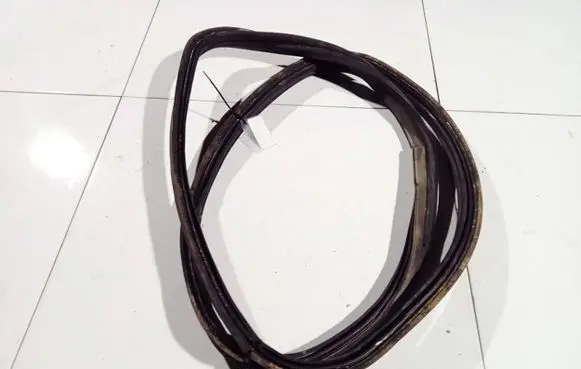 Fiat Punto (188) Rubber seal front coupe door 