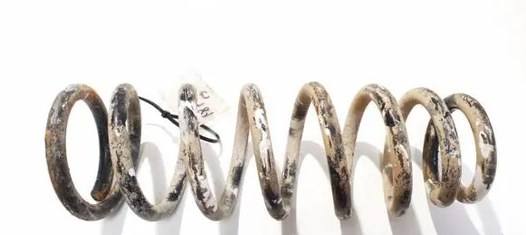 Hyundai Sonata Rear coil spring