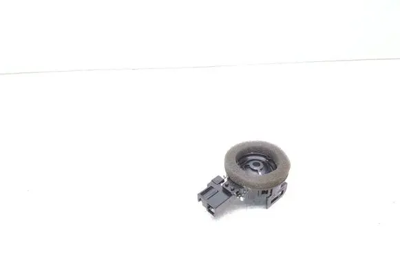 Polestar 2 Front door high frequency speaker 31456836