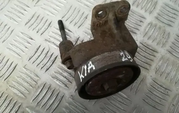KIA Carnival Generator/alternator belt tensioner