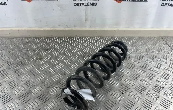 Opel Insignia B Rear coil spring