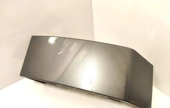 Rear/tail light trim molding