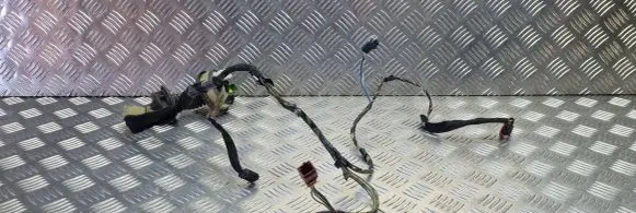 Citroen C3 Front door wiring loom 9659801880 A31PQRTE