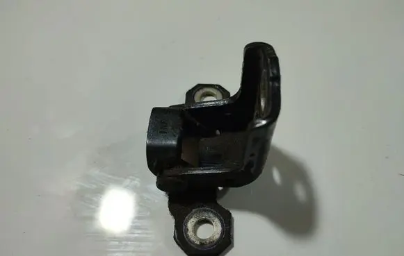 Rear door lower hinge