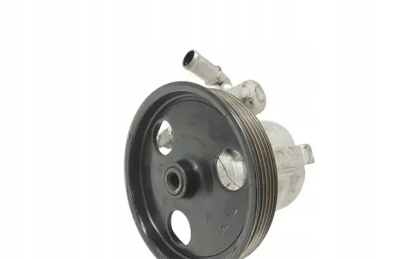 Renault Laguna III Power steering pump 