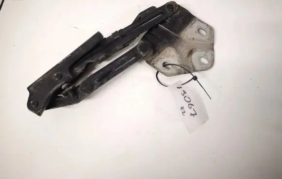 Tailgate/trunk/boot hinge