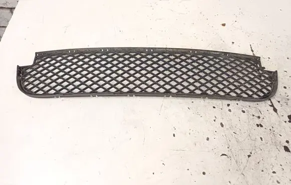 BMW X3 E83 Front bumper lower grill 3416203