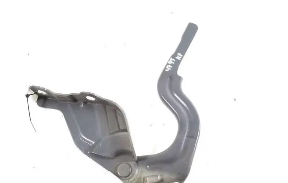 Hyundai Kona I Engine bonnet/hood hinges 79110J9000