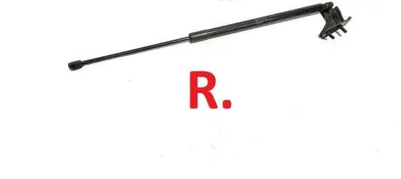 Tailgate/trunk strut/damper