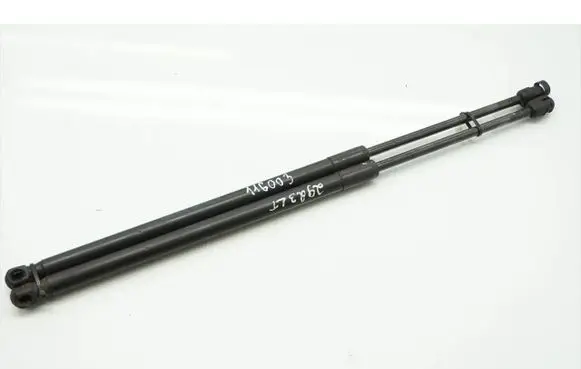 Tailgate/trunk strut/damper