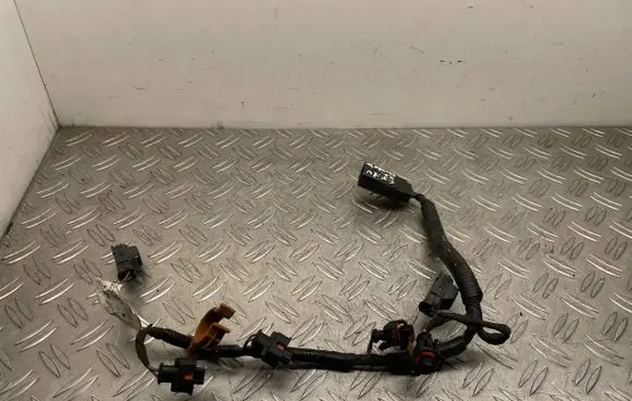 Ford Focus Fuel injector wires AG9T9H589BC