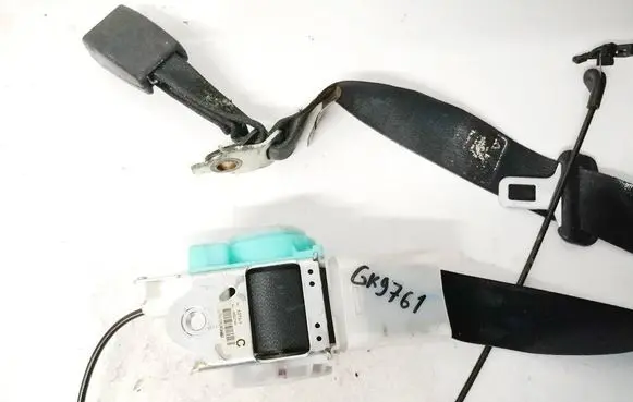 Chrysler 300 - 300C Rear seatbelt