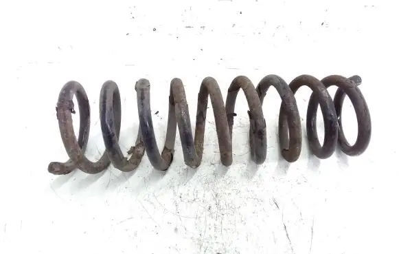 Rear coil spring