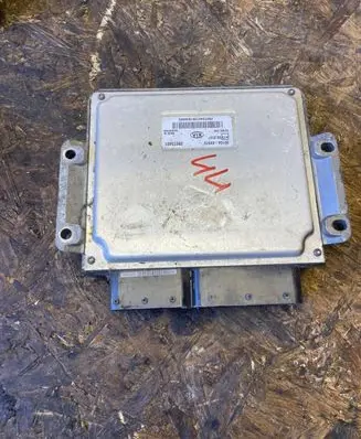 KIA Carnival Engine control unit/module 391044X910 R0412C001G