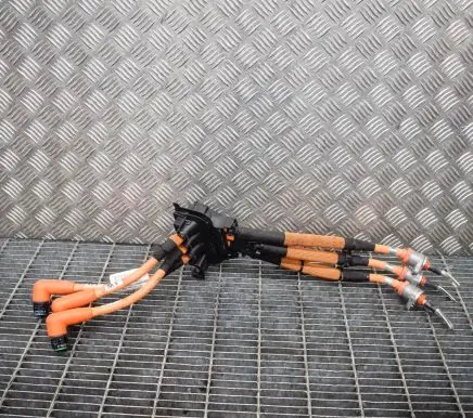 Audi Q5 SQ5 Other wiring loom 8R0971013C