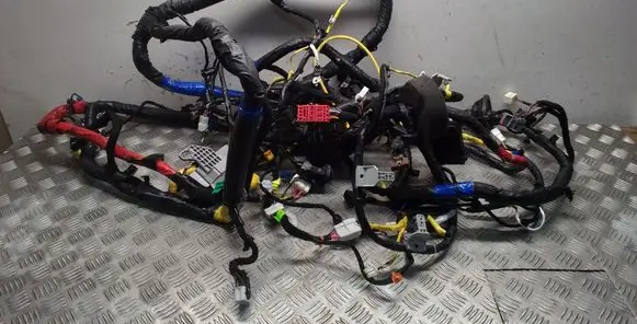 KIA EV6 Other wiring loom 91540CV332