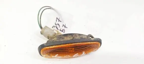 Front fender indicator light