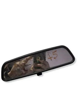 Rover 75 Rear view mirror (interior) E6006199