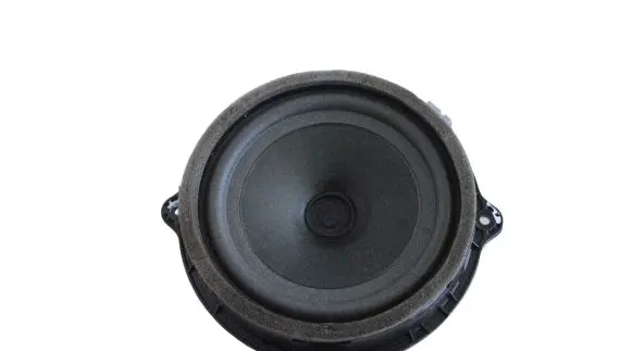 Rear door speaker