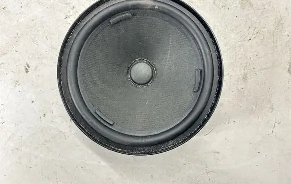 Volkswagen Tiguan Allspace Front door speaker 5NA035454