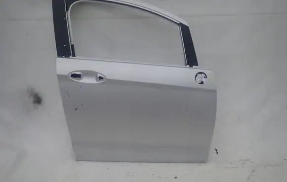 Ford B-MAX Front door