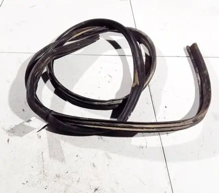 Renault Kangoo II Rubber seal front coupe door 