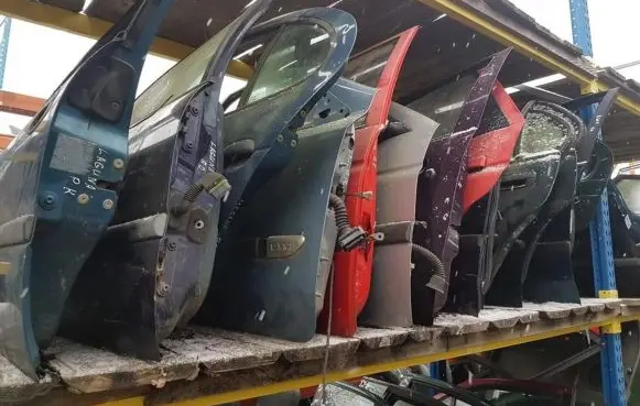 Ford Ka Front door violetines