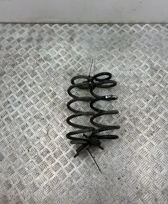 Rear coil spring