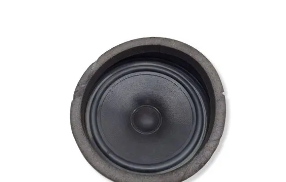 BMW X5 E53 Rear door speaker 4910430714