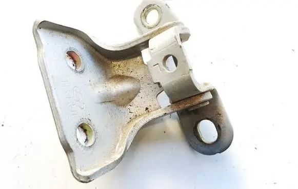 Rear door lower hinge