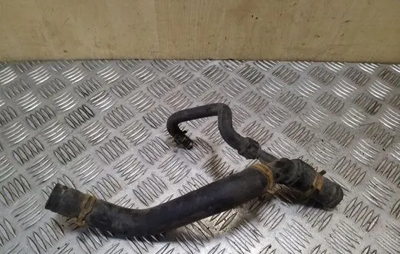 Renault Scenic I Engine coolant pipe/hose