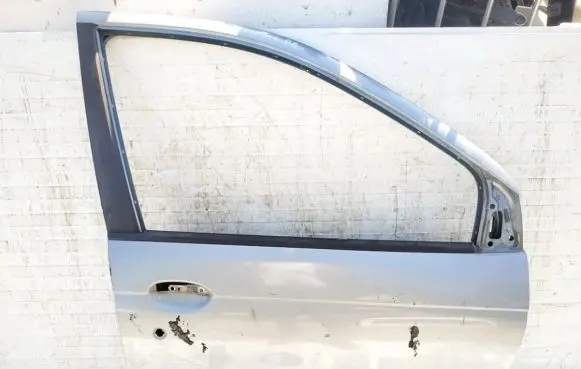 Renault Scenic I Front door pilkos