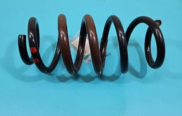 Rear coil spring