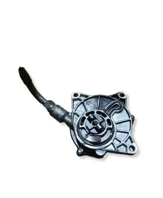 SsangYong Rexton I Vacuum pump 9140300030 A6652300365