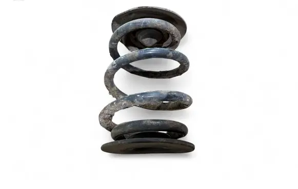 Rear coil spring