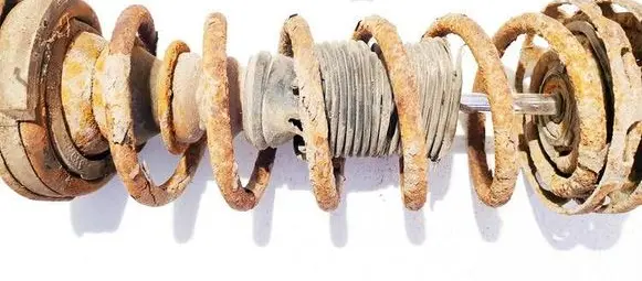 Rear coil spring