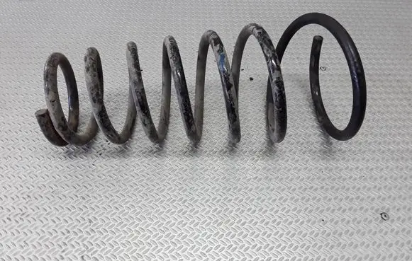 Front coil spring