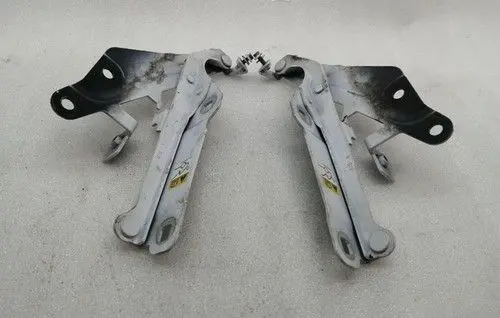 Ford Mustang VI Tailgate/trunk/boot hinge GR3B16800AC